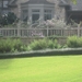 Landscape and Irrigation