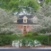 Springtime Blooms